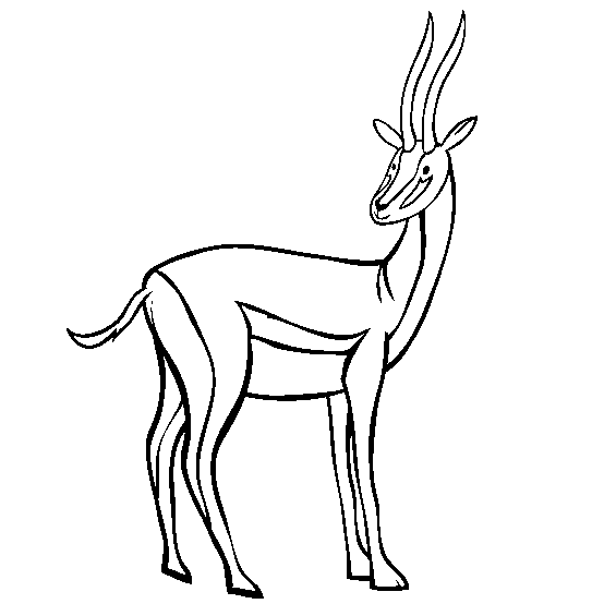 imagini de colorat animal salbatic antilopa